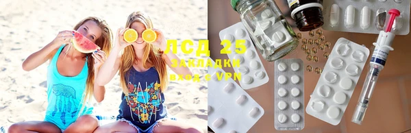 индика Беломорск