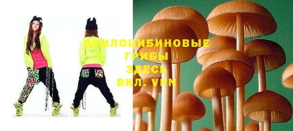 меф Белокуриха