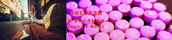 индика Беломорск