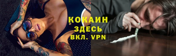 индика Беломорск