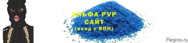 индика Беломорск