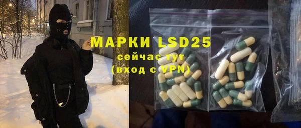 индика Беломорск