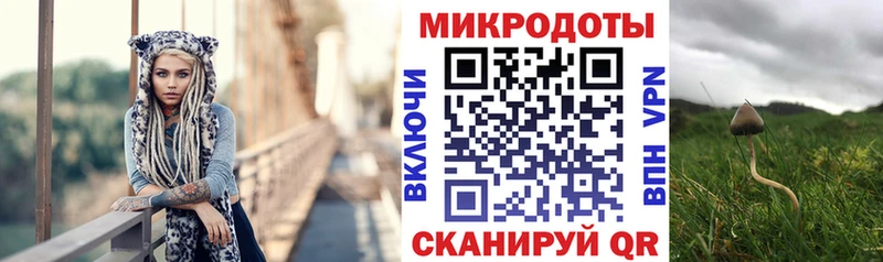 Галлюциногенные грибы мухоморы  MEGA tor  Высоковск 